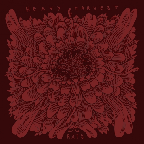 Heavy Harvest - Rats (2017)