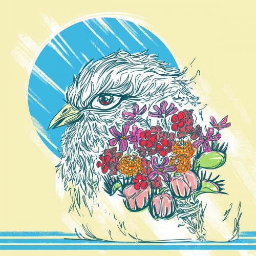 Pulses. - Bouquet. (2017)