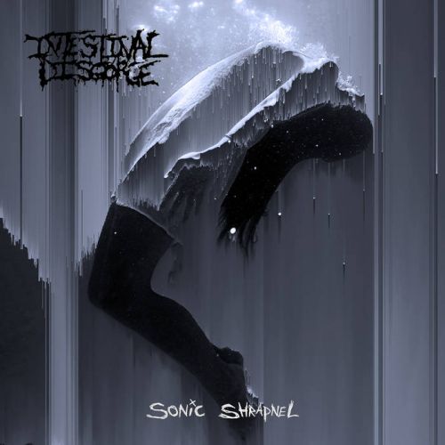Intestinal Disgorge - Sonic Shrapnel (2017)