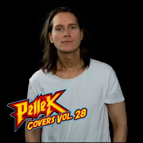 PelleK - Covers, Vol. 28 (2017)
