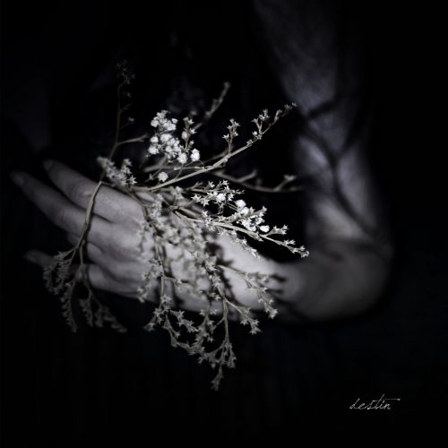 Clouds - Destin (2017)