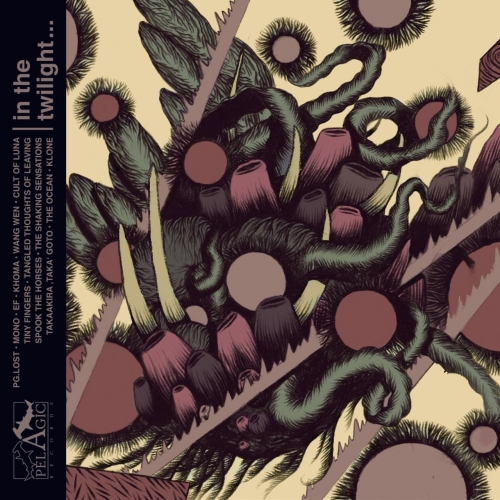 Various Artists - In the Twilight... (Pelagic Records Compilation, Pt. 1: Contemporary Postrock) (2017)