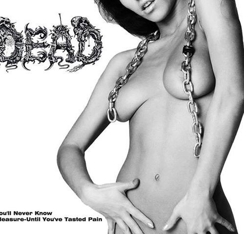 Dead - Discography (1995-2011)