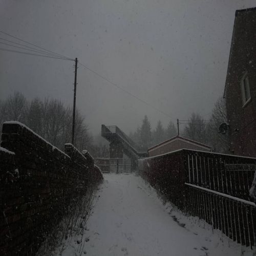 Hertless - Lifeless (2017)