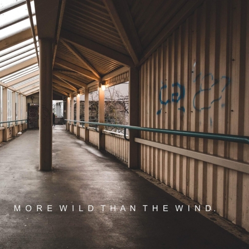 Shine Bright - More Wild Than the Wind (EP) (2017)