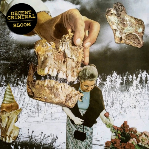 Decent Criminal - Bloom (2017)