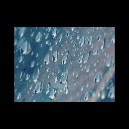 Lee Rogers - Cheat the Gallows (2017)