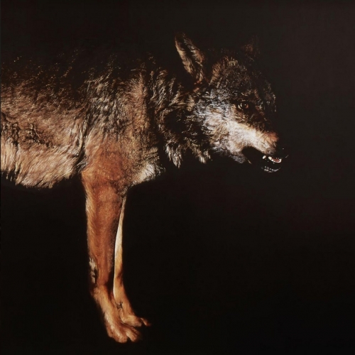 Melange - Viento Bravo (2017)