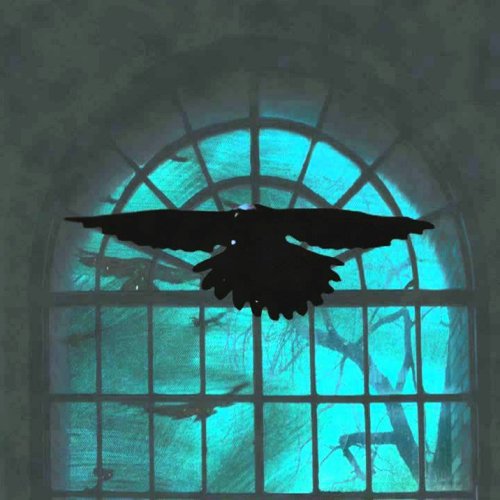 Kruk - Collection (2009-2014)