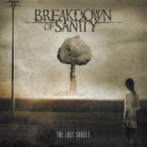 Breakdown of Sanity - Discography (2009-2021)