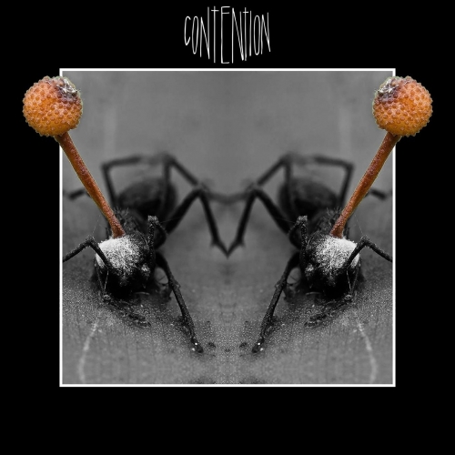 Contention - Contention (2017)