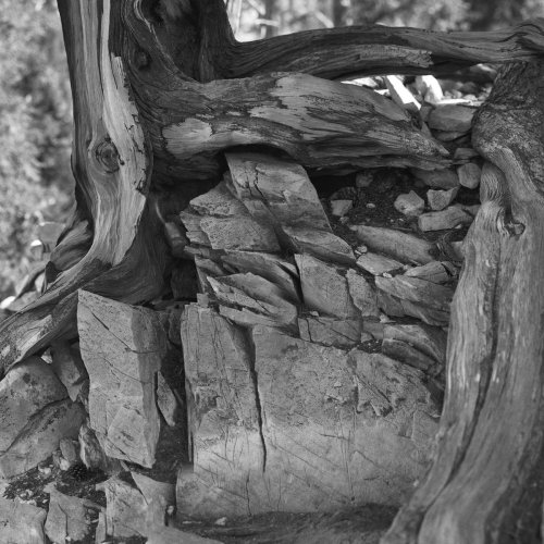 Ion - A Path Unknown (2018)