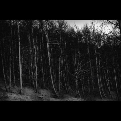 Hvíldarlauss Dauðr - Terrorforming (2018)