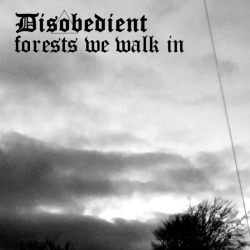 Disobedient - Forests We Walk In (2018)