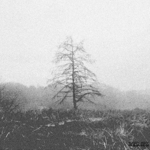 Tiger Nest - Camus (2018)