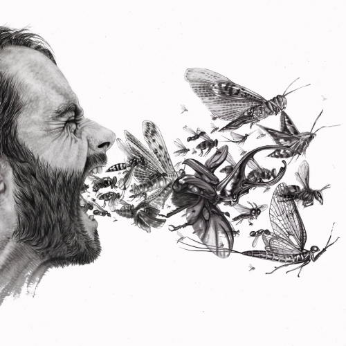 Strauss - Falena (EP) (2018)