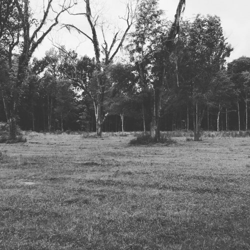 Kenny Geriets - Automated Autum (2018)