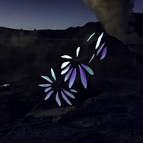 Renard Blanc - Nuit (2018)