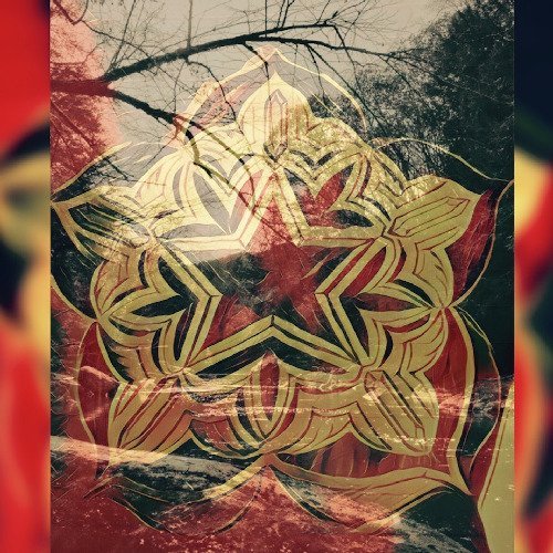 Being That the Ceiling - In Plain View (2018)