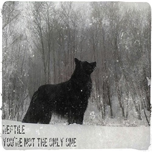 Reptile - You're Not the Only One [EP] (2018)