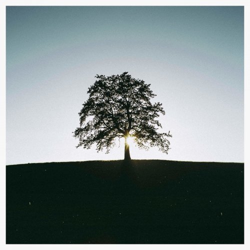 Shoal Lake - The Meadowlands (2018)