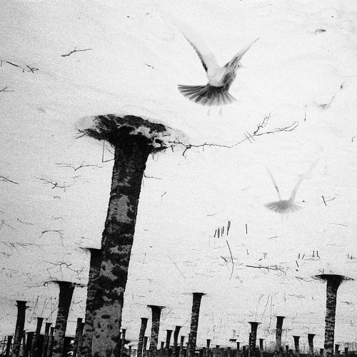 Yves Saint - Yves Saint (2018)