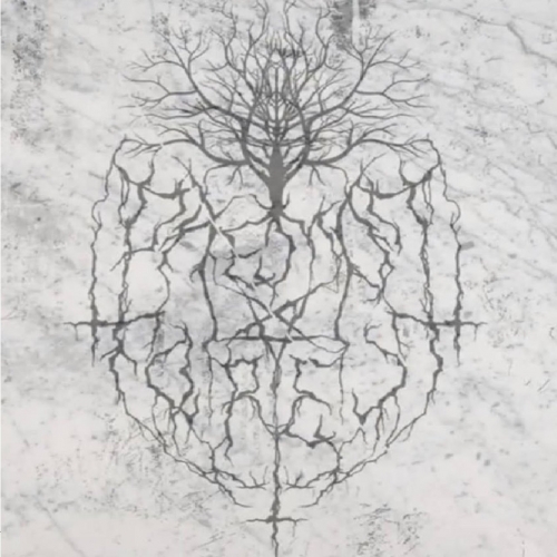 Daemon Forest - Daemon Forest (2018)