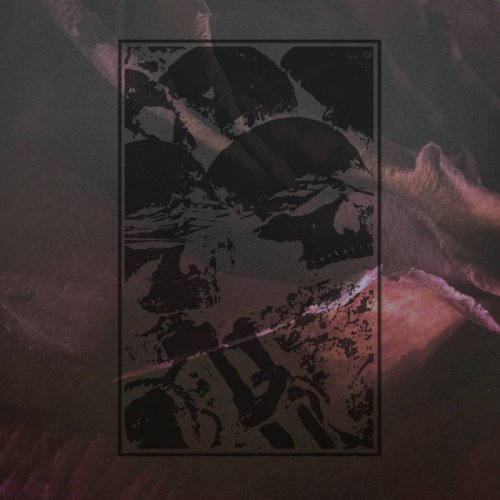 Dead To A Dying World - Reprise (2018)