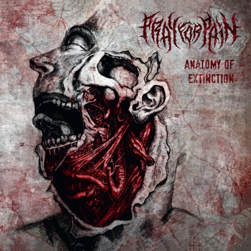 Pray For Pain - Anatomy of Extinction (EP) (2018)