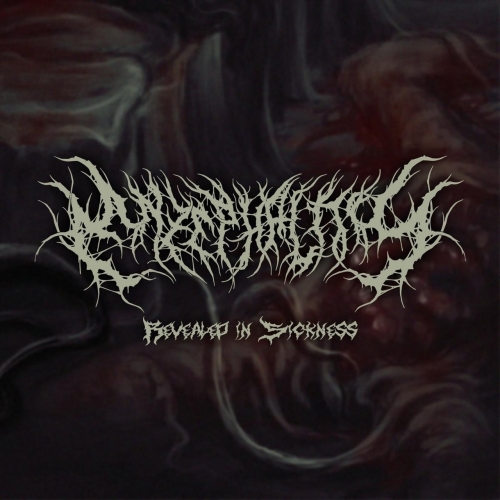 Enzephalitis - Revealed in Sickness (EP) (2018)