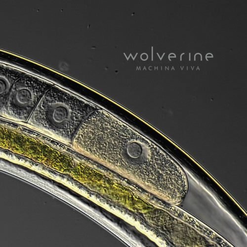 Wolverine - Масhinа Vivа [Limitеd Еditiоn ] (2016)