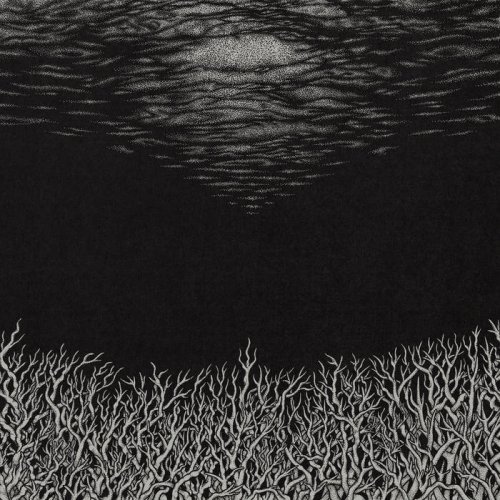 Bismuth - The Slow Dying of the Great Barrier Reef (2018)