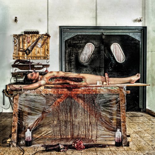 Prostitute Disfigurement - Discography (2001-2014)