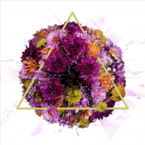 Uroboros - Le rose est le nouveau noir (2018)