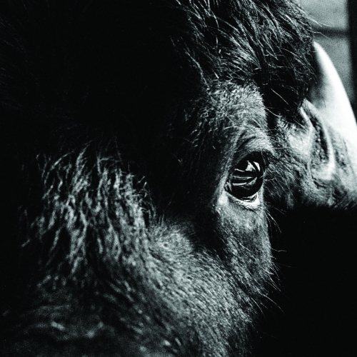 Killbody Tuning - Pictorial (2018)