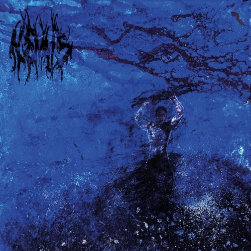 Nemus - See - Mensch (2018)