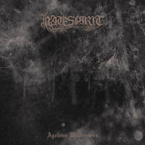 Hatespirit - Ageless Wilderness (2018)