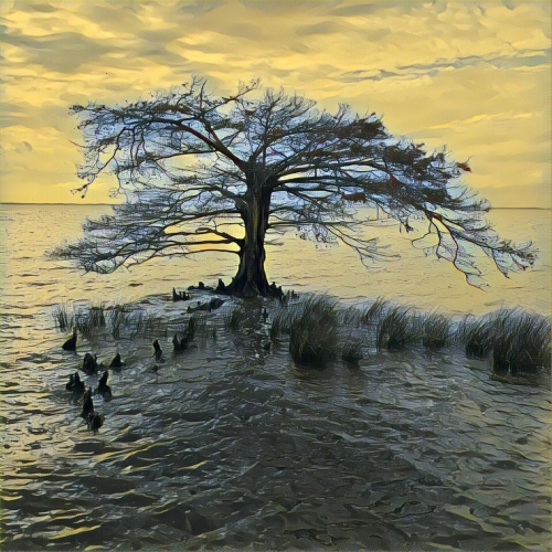 Ronald Grady - Cold Space (2019)