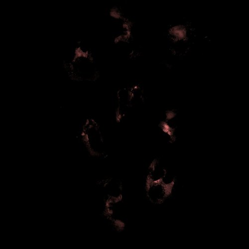 My Deathbed - The Mirrors Of Depression (2019)