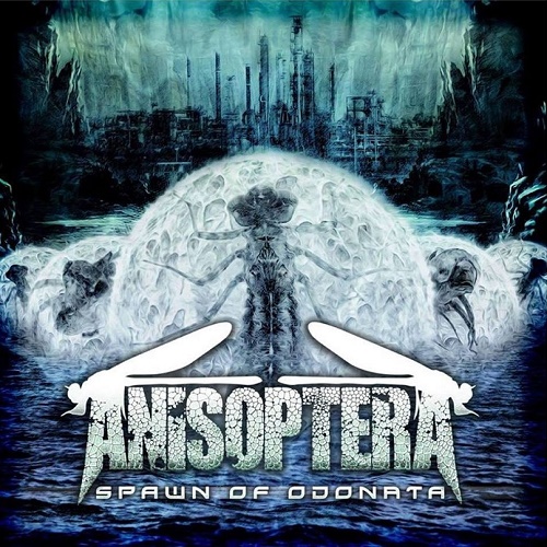 Anisoptera - Spawn of Odonata (2018)