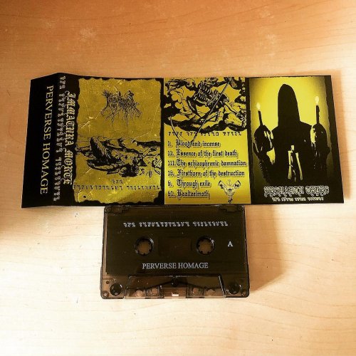 Immatura Morte - The Schizophrenic Damnation (2018)