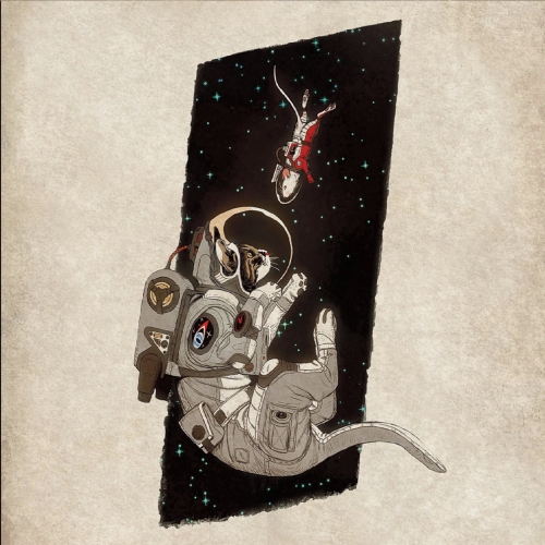 Marrow - Look Outside (2019)