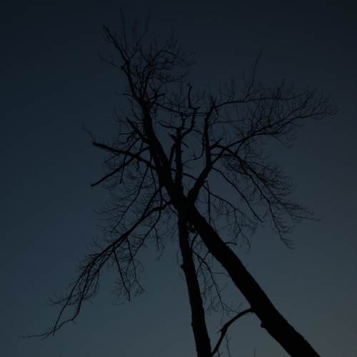 Golden Head - Golden Head (2018)