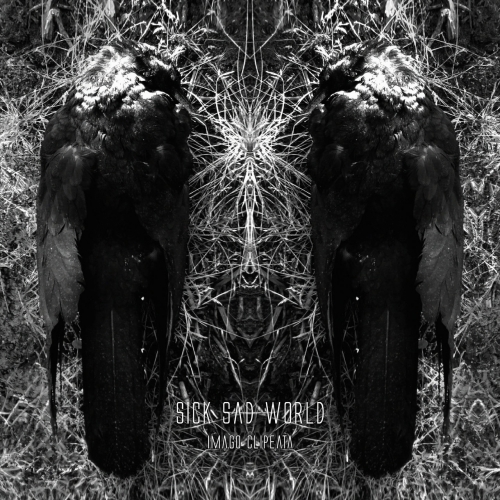 Sick Sad World - Imago Clipeata (2019)