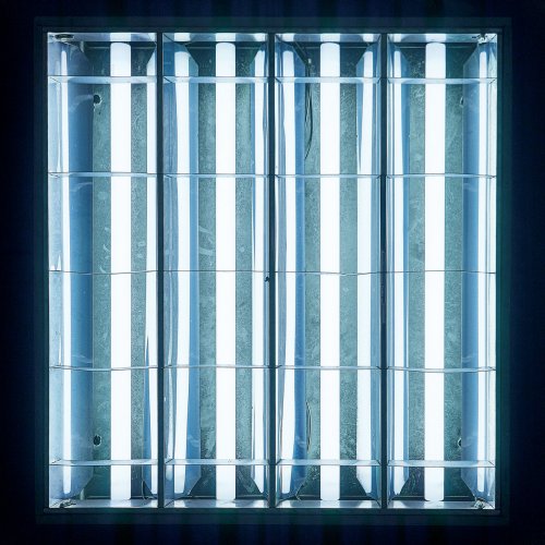 Valerinne - Desire (2019)