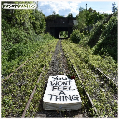 Insomniacs - You Won't Feel a Thing (2019)