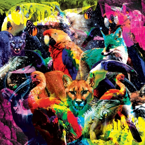 Falseta - Radiance (2019)