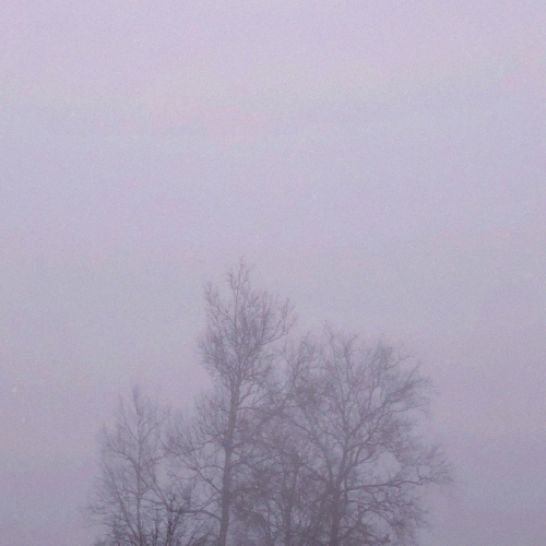 Sigils - You Built the Altar, You Lit the Leaves (2019)