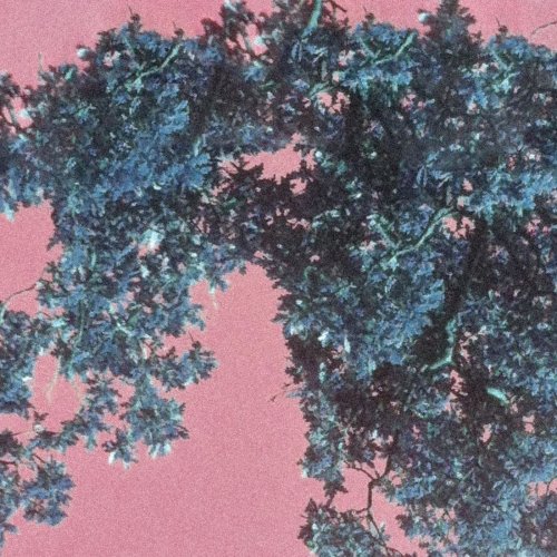 In Autumnus - Manilla In The Claws Of Light (2019)