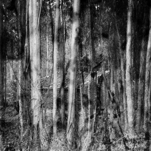 Engarn - Autumn XXVIII (2019)